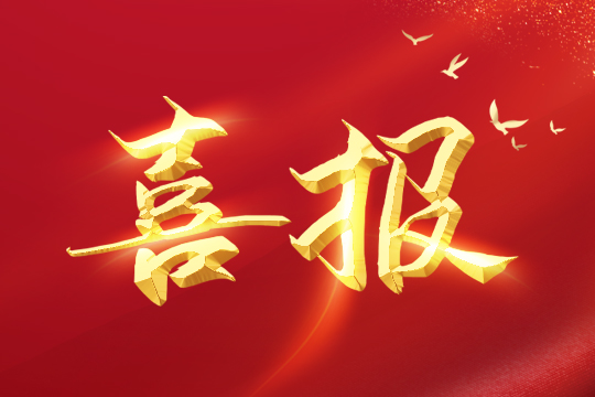 喜报 | 333体育荣登2024粤港澳大湾区企业创新力榜单